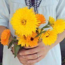 {In the Garden} Calendula or “Pot Marigold” Calendula Bouquet