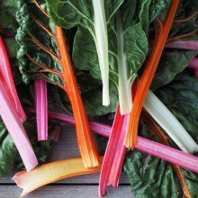 {In the Garden} Rainbow Chard Rainbow Chard