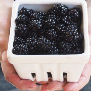 {Recipe} Lavender & Honey Blackberry Jam Blackberry Picking